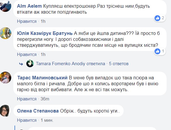 "А ви продовжуйте захищати": у Тернополі на жінку напала зграя собак