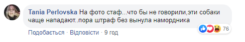 Поверталися з садка: у Києві собака накинулася на хлопчика з батьком і серйозно травмувала (фото)