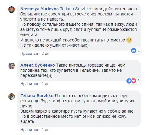 "Ужас": в Киеве на пляже отдыхали питоны (фото)