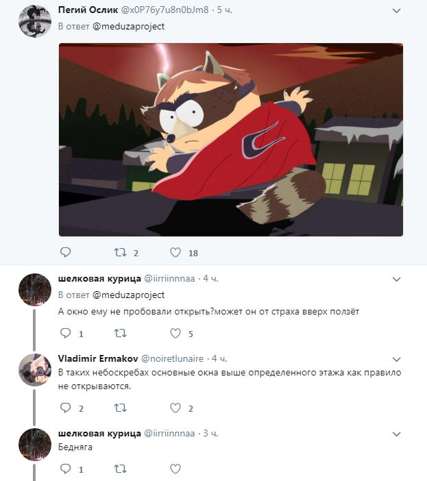 &quot;Я бы так не смог&quot;: сеть впечатлил енот, который 20 часов лез на небоскреб (видео)