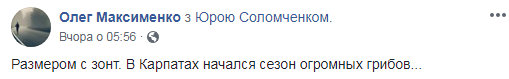 В Карпатах нашли грибы размером с зонт (фото)