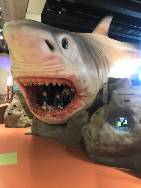 &quot;Їв крокодилів і годував акул&quot;: як відомий український ведучий подорожував по Америці