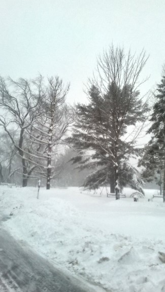 Сотні аварій та пошкоджені будинки: в США в квітні почався "льодовиковий період" (фото, відео)