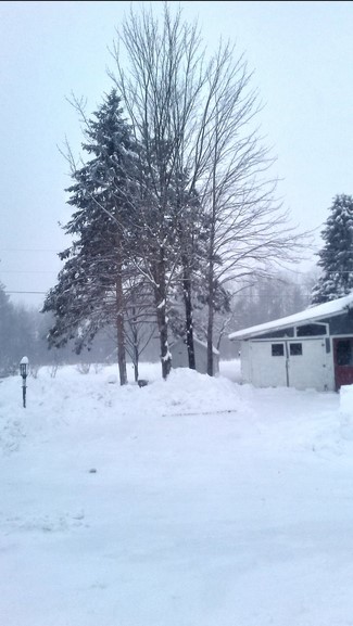 Сотні аварій та пошкоджені будинки: в США в квітні почався "льодовиковий період" (фото, відео)