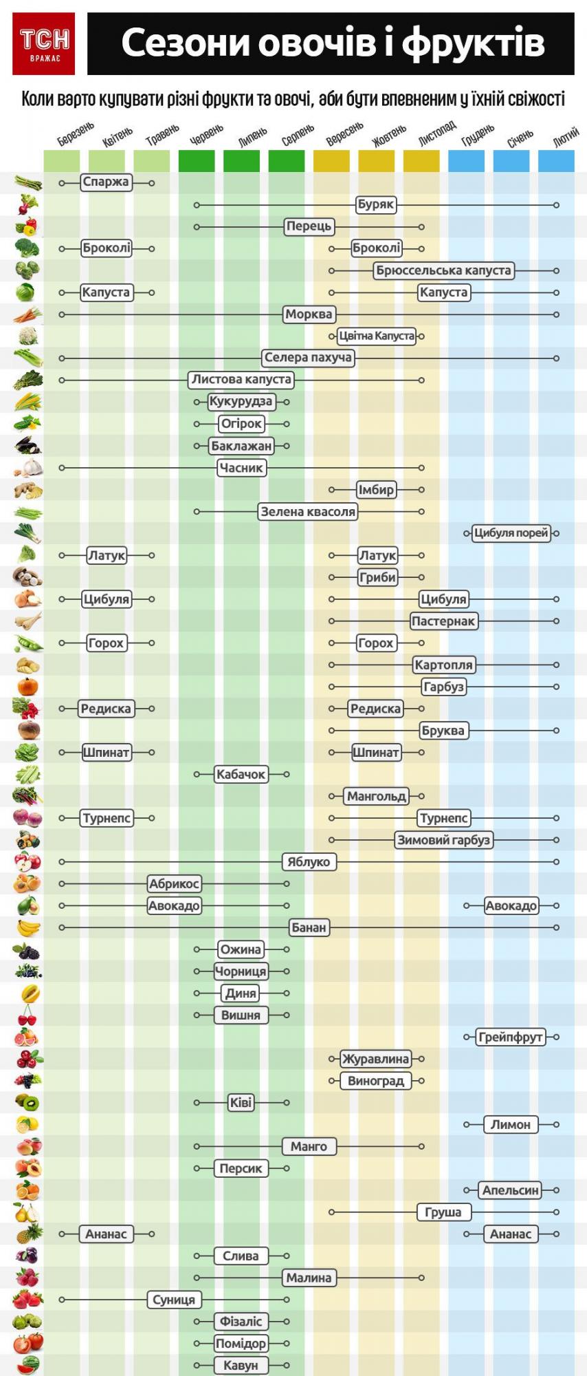 Сезонные овощи: эксперты рассказали, какие продукты нужно покупать в июле