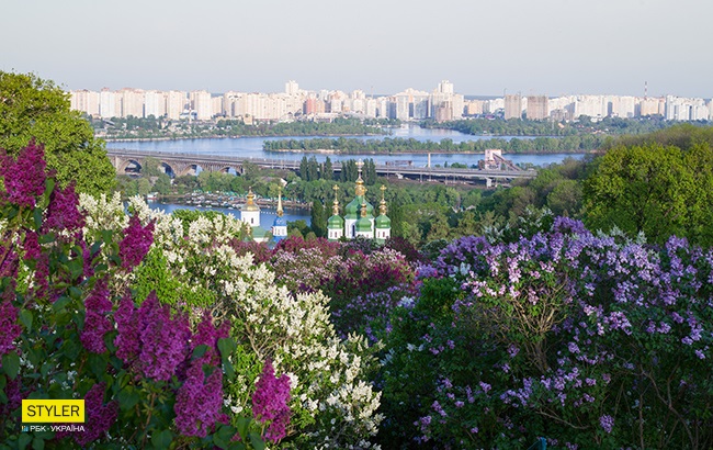 В Киеве зацвела сирень: яркий фоторепортаж из ботсада им. Гришко