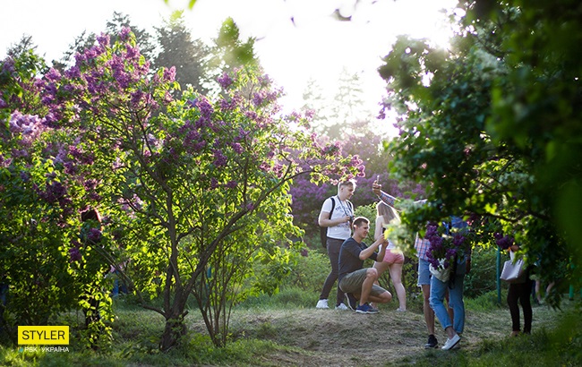 В Киеве зацвела сирень: яркий фоторепортаж из ботсада им. Гришко