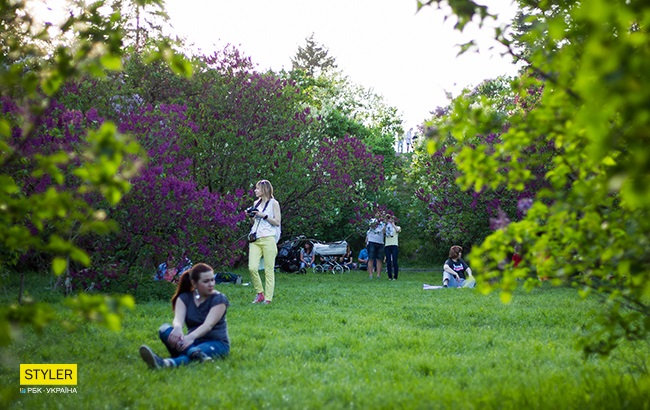 В Киеве зацвела сирень: яркий фоторепортаж из ботсада им. Гришко