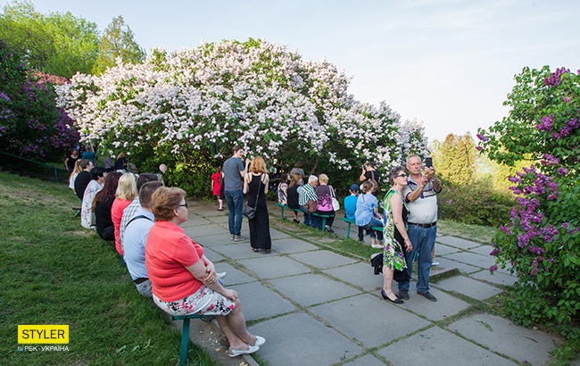 В Киеве зацвела сирень: яркий фоторепортаж из ботсада им. Гришко