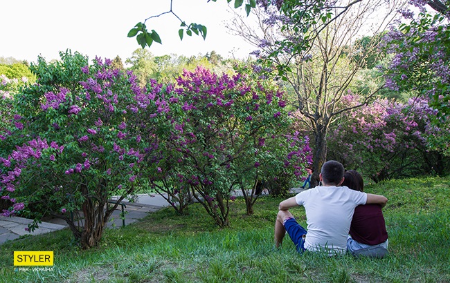 В Киеве зацвела сирень: яркий фоторепортаж из ботсада им. Гришко