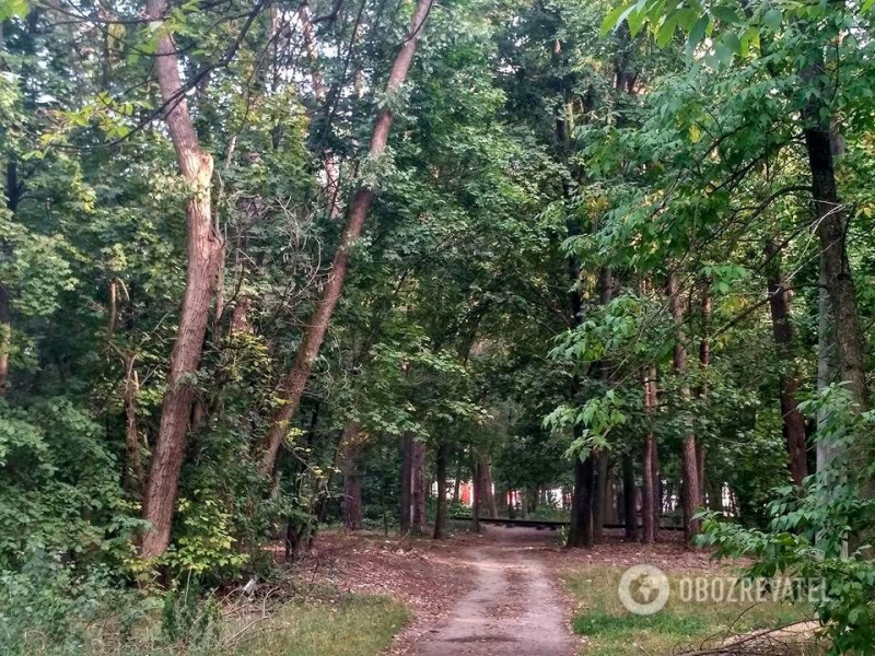 Найдено несколько женских тел: жители Киева предполагают, что в городе орудует маньяк