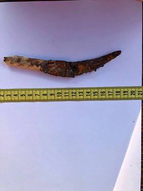 Парная могила: археологи обнаружили уникальное захоронение скифов