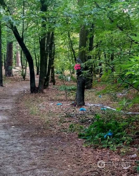 Найдено несколько женских тел: жители Киева предполагают, что в городе орудует маньяк