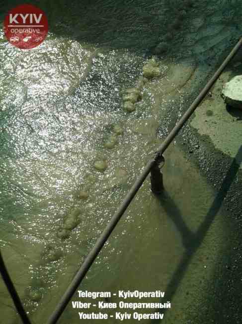 &quot;Бьют &quot;ключи&quot; воды&quot;: в Киеве снова прорвало трубу (фото)