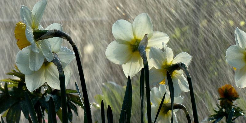 Різко зміниться: синоптики розповіли про погоду в перший день літа