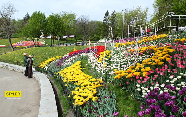 В Киеве открылась уникальная выставка тюльпанов "Вокруг света" (яркий фоторепортаж)