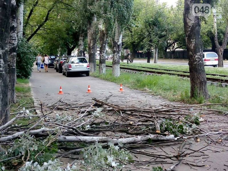 Мощный ливень в Одессе: в сети показали последствия непогоды (видео)