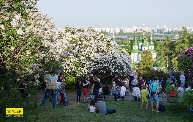 В Киеве зацвела сирень: яркий фоторепортаж из ботсада им. Гришко