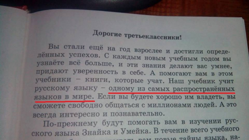 "Флаг Расії - наш сімвал": Ницой рассказала о детском учебнике из РФ в школе под Киевом (фото)