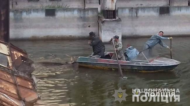 В зоні ЧАЕС працівники ДСНС і поліцейські врятували лося, який тонув у водоймі (відео)