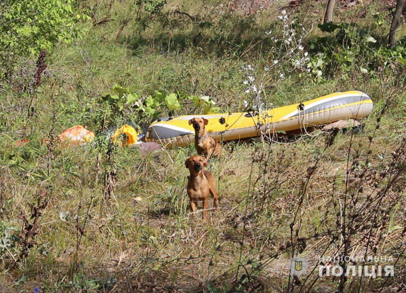 Жили в палатке: в Полтавской области на острове обнаружили ребенка