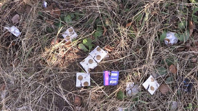 "Эко-акция": работницам "древнейшей профессии" предложили провести субботник (фото)