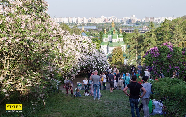 В Киеве зацвела сирень: яркий фоторепортаж из ботсада им. Гришко