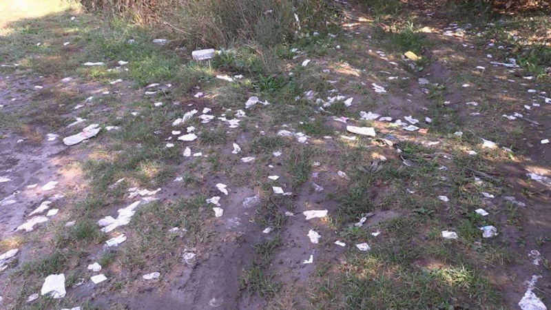 "Эко-акция": работницам "древнейшей профессии" предложили провести субботник (фото)