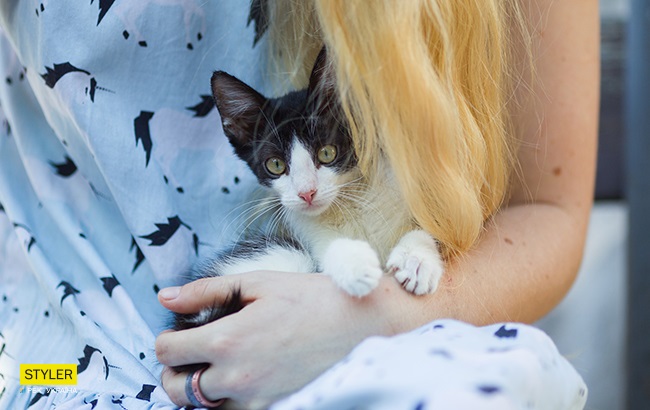 &quot;Били об стіну, нацьковували собак&quot;: як волонтер із Запоріжжя виходжує диких тварин і чому любить їх більше людей