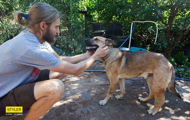 Пес Кощій буде жити в Олесі