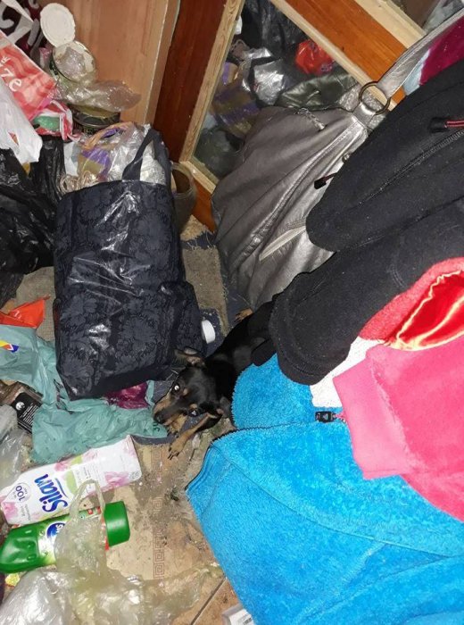 У Миколаєві мати заборонила дочці користуватися світлом і гарячою водою