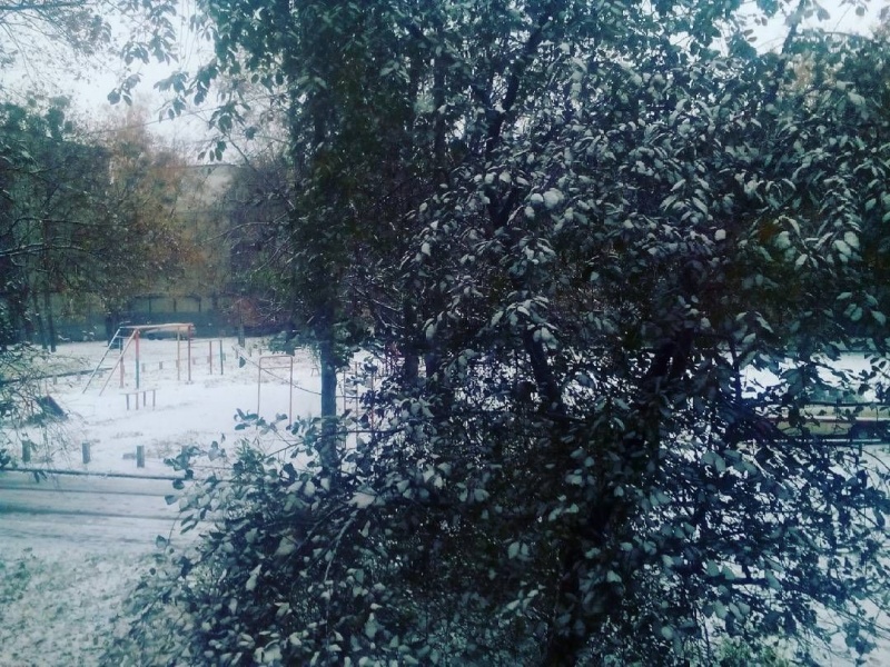 Білі мухи: Харків засипало першим снігом