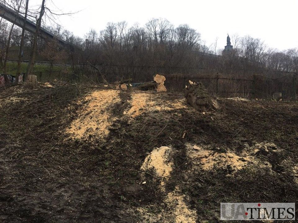 У центрі Києва нахабно рубають дерева: в зоні культурної спадщини (фото)
