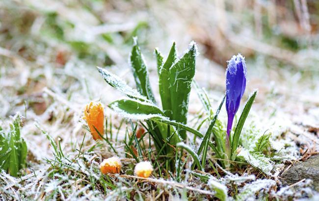 Дело идет к зиме: синоптики рассказали о погоде на следующей неделе