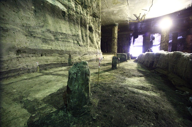Исторические раскопки в Киеве