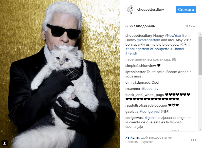 Хакеры украли аккаунт кошки дизайнера Карла Лагерфельда в Instagram