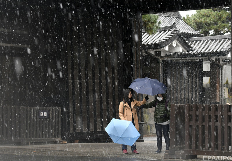 Впервые за 54 года: жителей Токио удивил внезапный снег