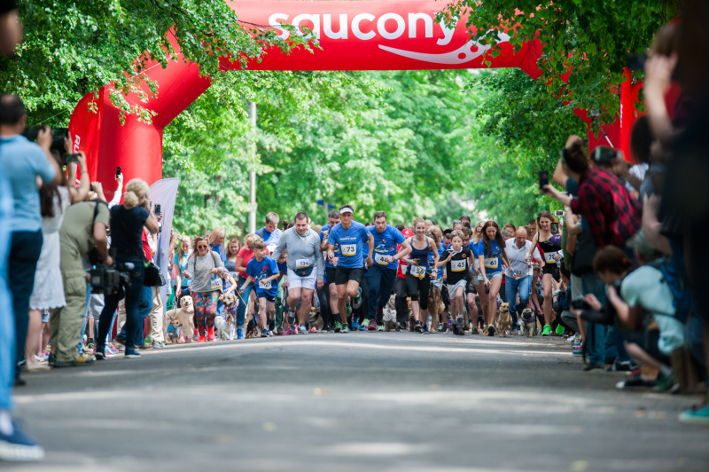 В Киеве установят рекорд самого массового забега с собаками