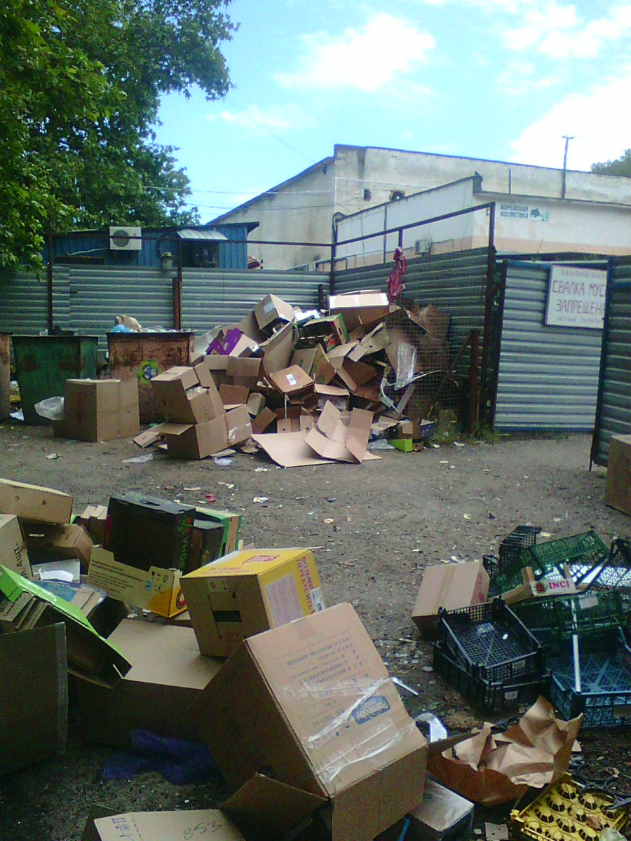 Побережье Крыма полностью утонуло в мусоре: о курортном сезоне не слышали