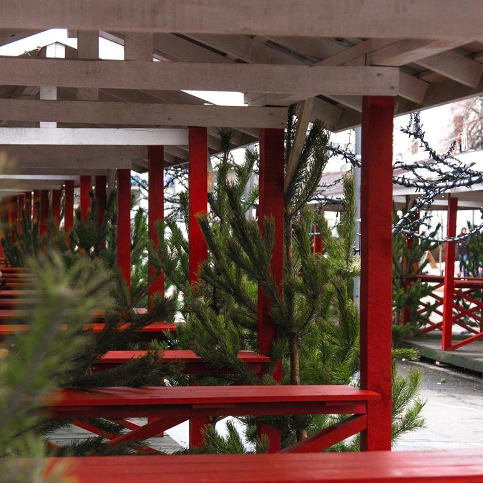 Как Киев готовится к Новому году: праздничные локации