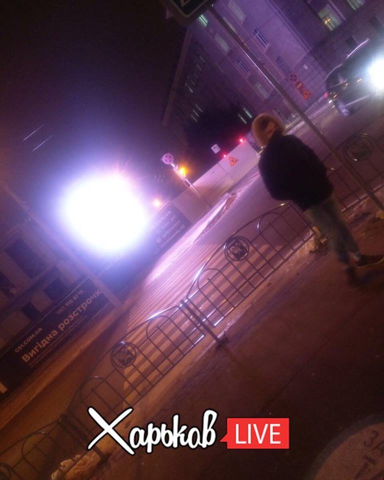 &quot;Это по-нашему&quot;: в Харькове появилась необычная &quot;зебра&quot;