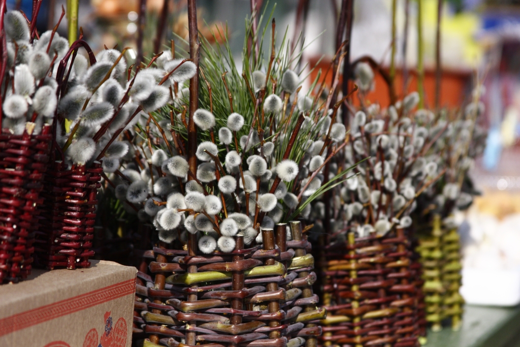 Освячені вербні гілочки принесуть благополуччя в дім