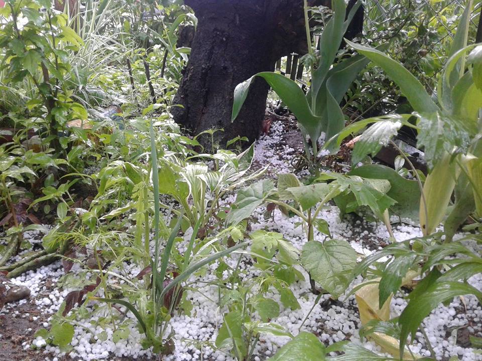 В Николаеве неожиданно выпал град