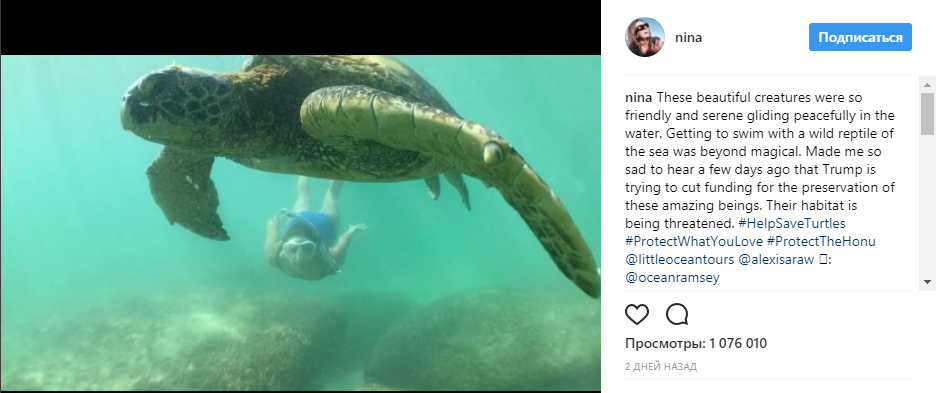 Зірка &quot;Щоденників вампіра&quot; плаває з акулами на Гаваях