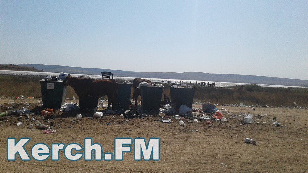 У Криму окупанти перетворили популярний лікувальний курорт в стихійне звалище