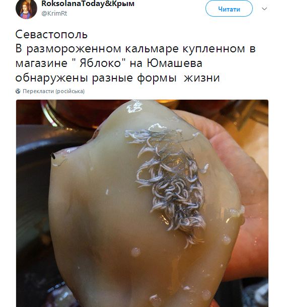 В сети показали жуткие находки в супермаркетах оккупированного Севастополя