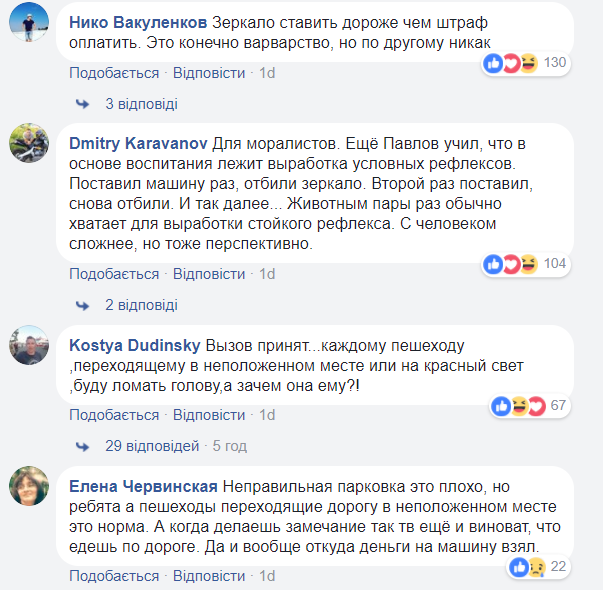 "По-іншому ніяк": кияни жорстоко покарали "героя парковки"