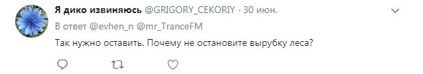"Безлес": в сети показали, как из Украины эшелонами вывозят лес (видео)
