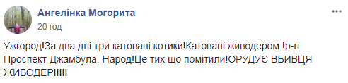 В Ужгороді шкуродер жорстоко вбиває котів (фото 18+)