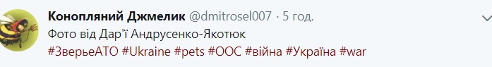 Сеть умилили трогательные животные на Донбассе